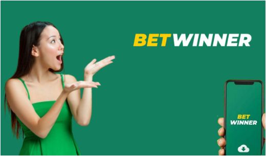 Explore the Thrills of BetWinner Casino A Comprehensive Guide
