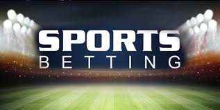 Lions Bet A Comprehensive Look at Online Betting Strategies